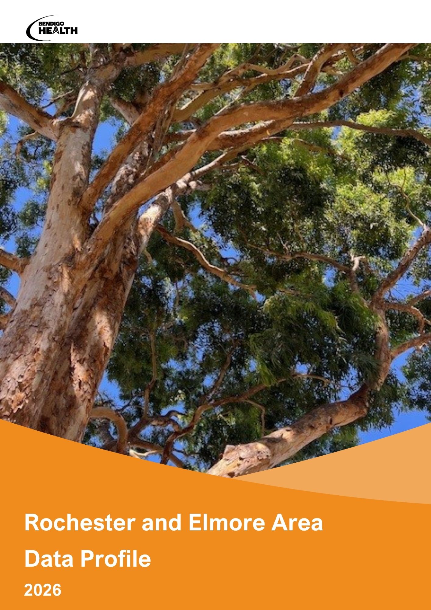 Rochester and Elmore District Data Profile Icon